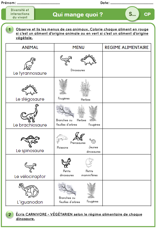 Séquence cycle 2 relations entre êtres vivants dinosaures